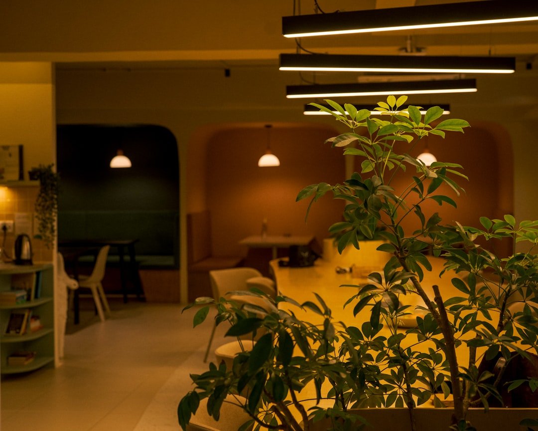 Interior of a modern lounge with plants and warm lighting